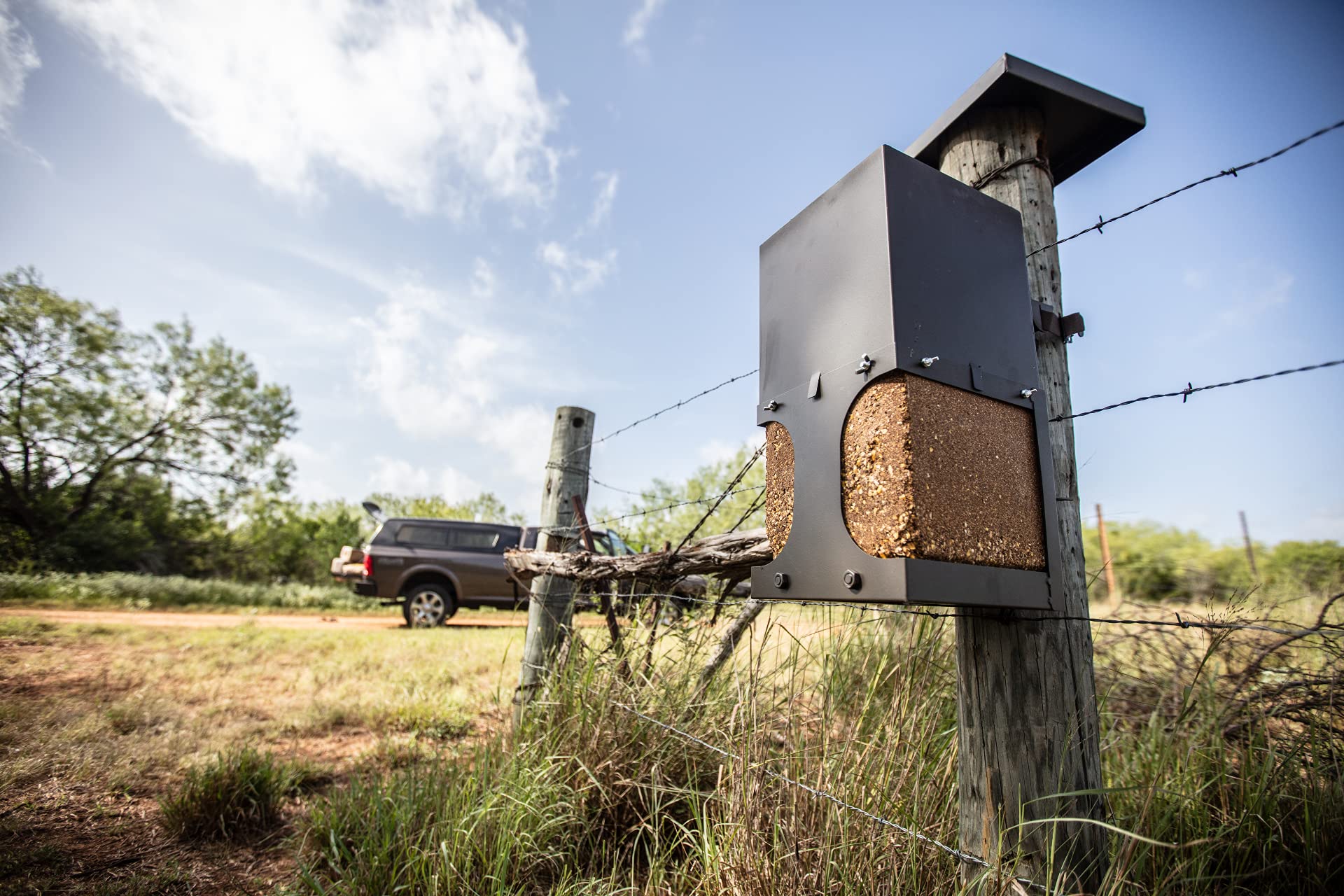 ASF All Seasons Feeders - EZ Block Deer Feeder & Wildlife Feed Station - Holds Salt, Mineral, Wormer & Feed Supplement Blocks - Perfect for Hunting, Wildlife Observation & Farm Animal Nutrition