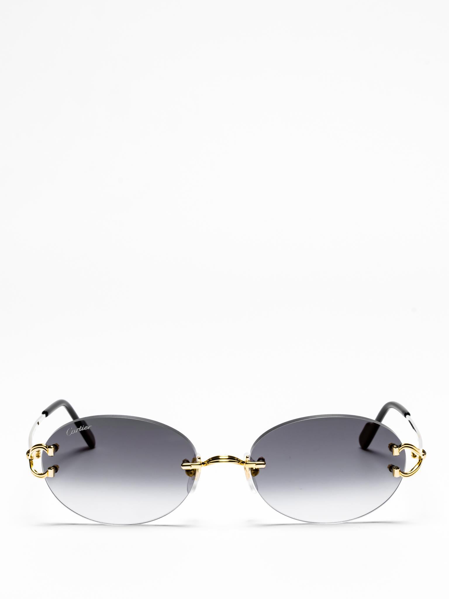 Cartier CT0551S 001 C Décor Sunglasses - Luxury Designer Shades for Women & Men | Perfect for Beach, Driving & Outdoor Fashion
