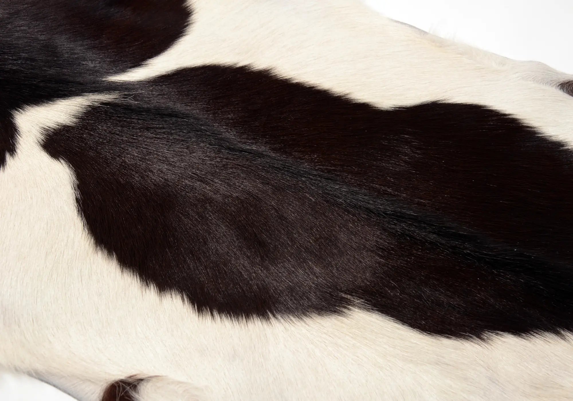 Premium 039 Natural Goat Skin Leather - Black & White Color - Perfect for Handmade Wallets, Bags & DIY Craft Projects