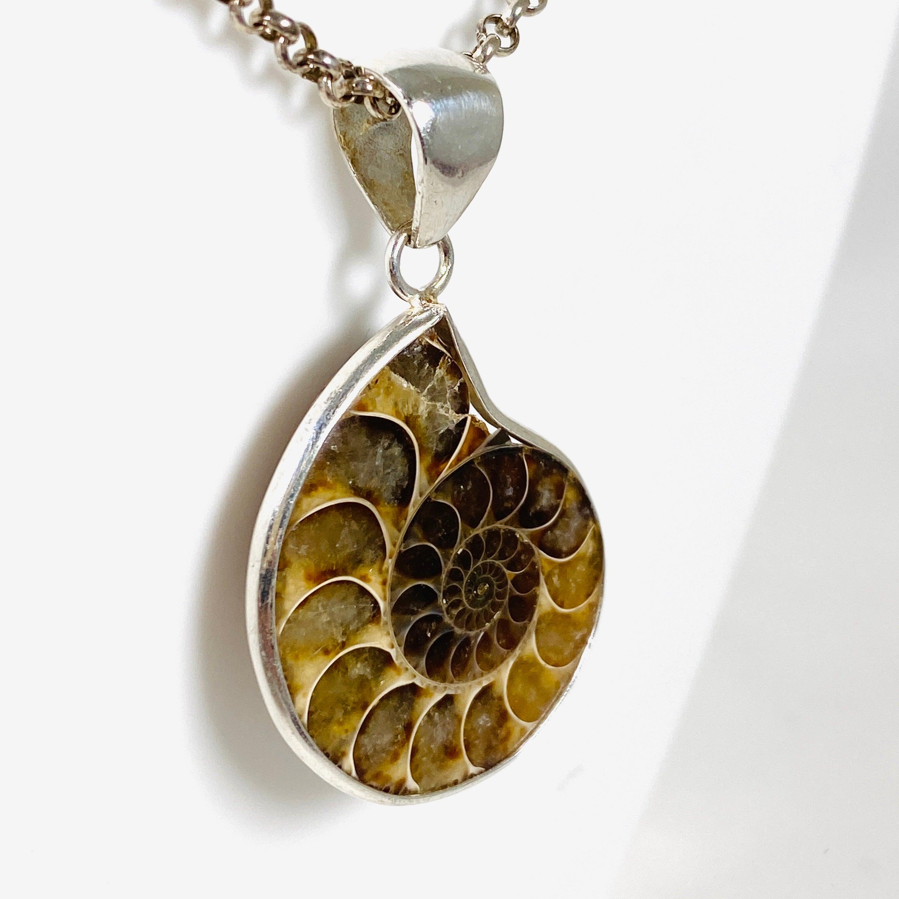 Natural Ammonite Shell Pendant Necklace - Unique Fossil Jewelry for Women & Men - Perfect for Boho Style, Spiritual Healing & Gift Giving