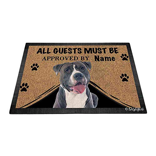 American Staffordshire Terrier
