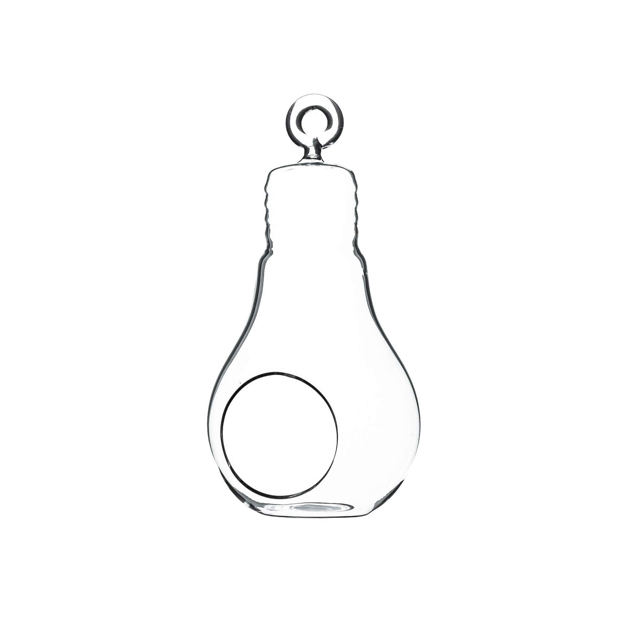Hanging Glass Plant Terrarium - 3