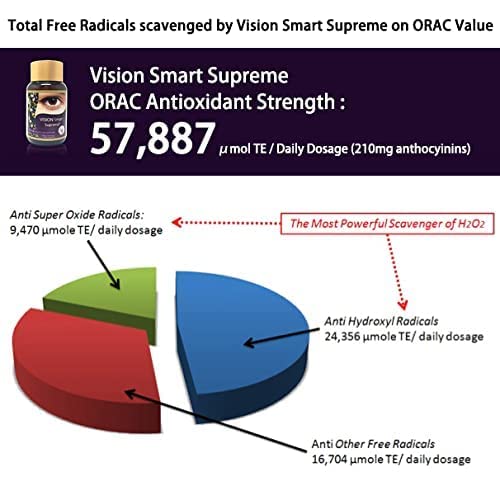 Vision Smart Supreme - Premium Eye Supplement with 210mg Pure Anthocyanins (D3R & C3R) | Vegan Capsules | USA Made (3 Bottles) | Supports Eye Health & Night Vision for Digital Screen Users