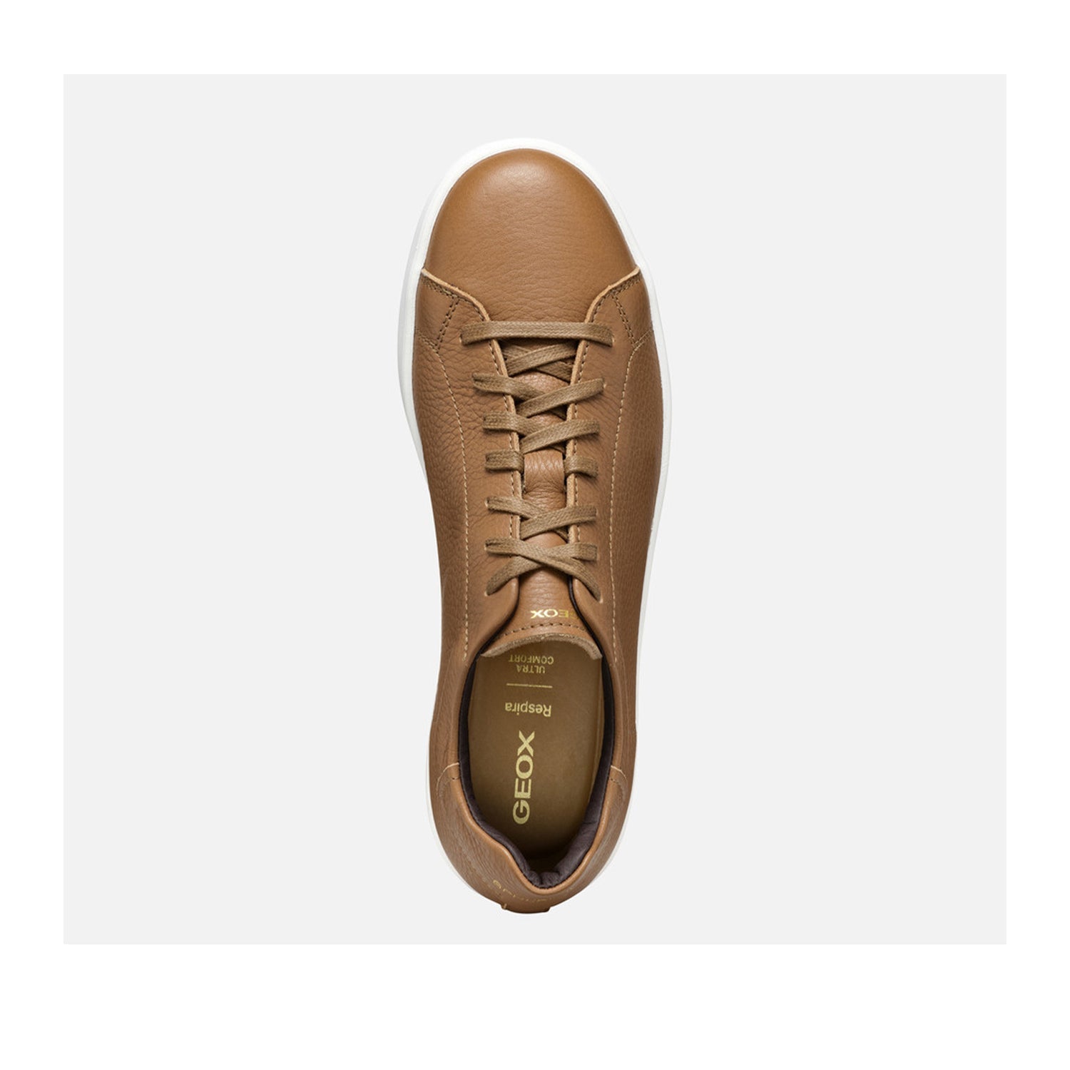 Geox Men's Spherica Ecub 1 Sneakers in Toffee Brown | Breathable Walking Shoes for Men | Perfect for Casual Wear, Office & Travel