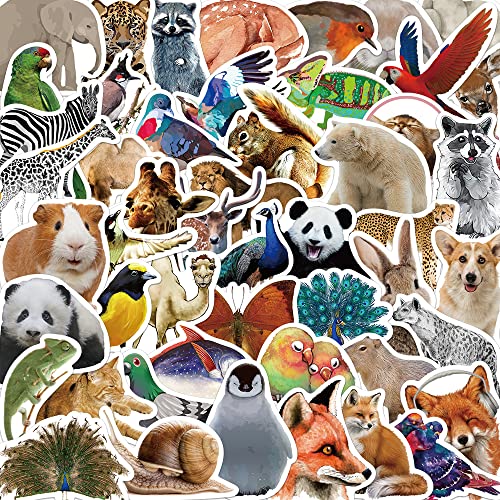 Animals