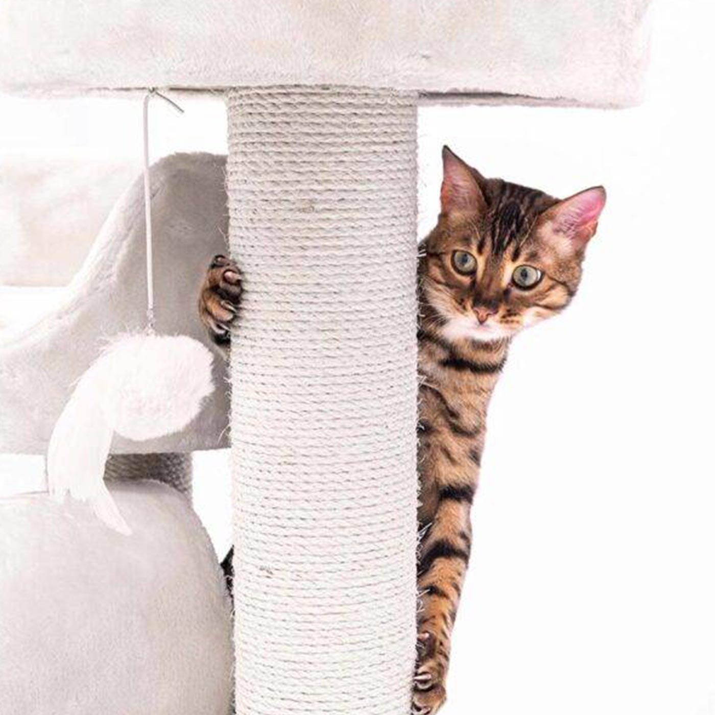 Kings & Queens Victoria 125cm Cat Tree - Premium Tall Cat Tower with Scratching Posts & Perches for Indoor Cats - Perfect for Play, Rest & Climbing in Home or Apartment