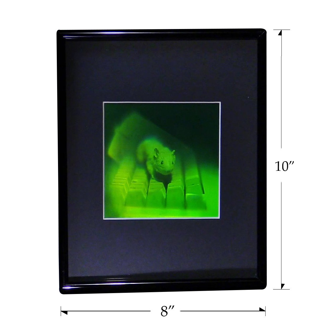 3D Holographic Mouse Multi-Channel Framed Picture - Collectible Photopolymer Film Art for Home Decor, Office Display & Unique Gift Ideas