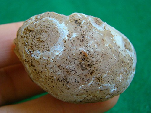 Agate Hollow Mini Geode with Crystals - Home Decor & Healing