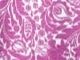 Rose White Floral
