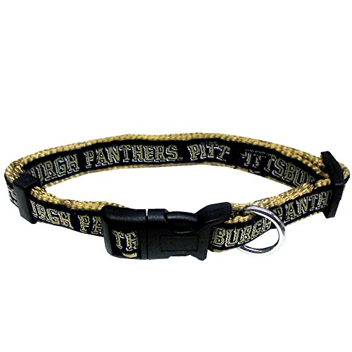 Pittsburgh Panthers