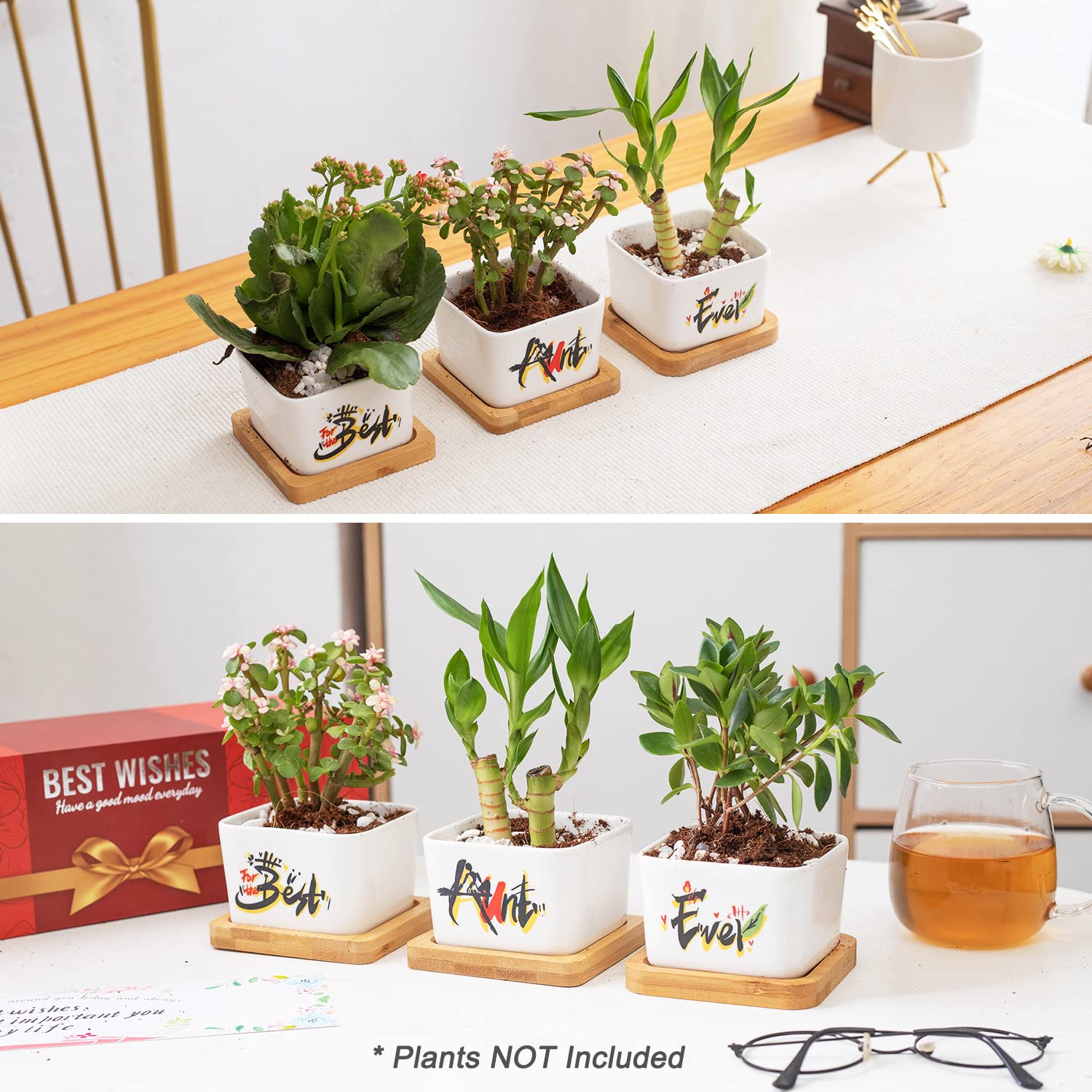 Best Aunt Ever Gifts for Women - Unique Succulent Plant Pots, Perfect Birthday or Christmas Present from Niece/Nephew | Ideal for Home Decor, Office Desk & Special Occasions