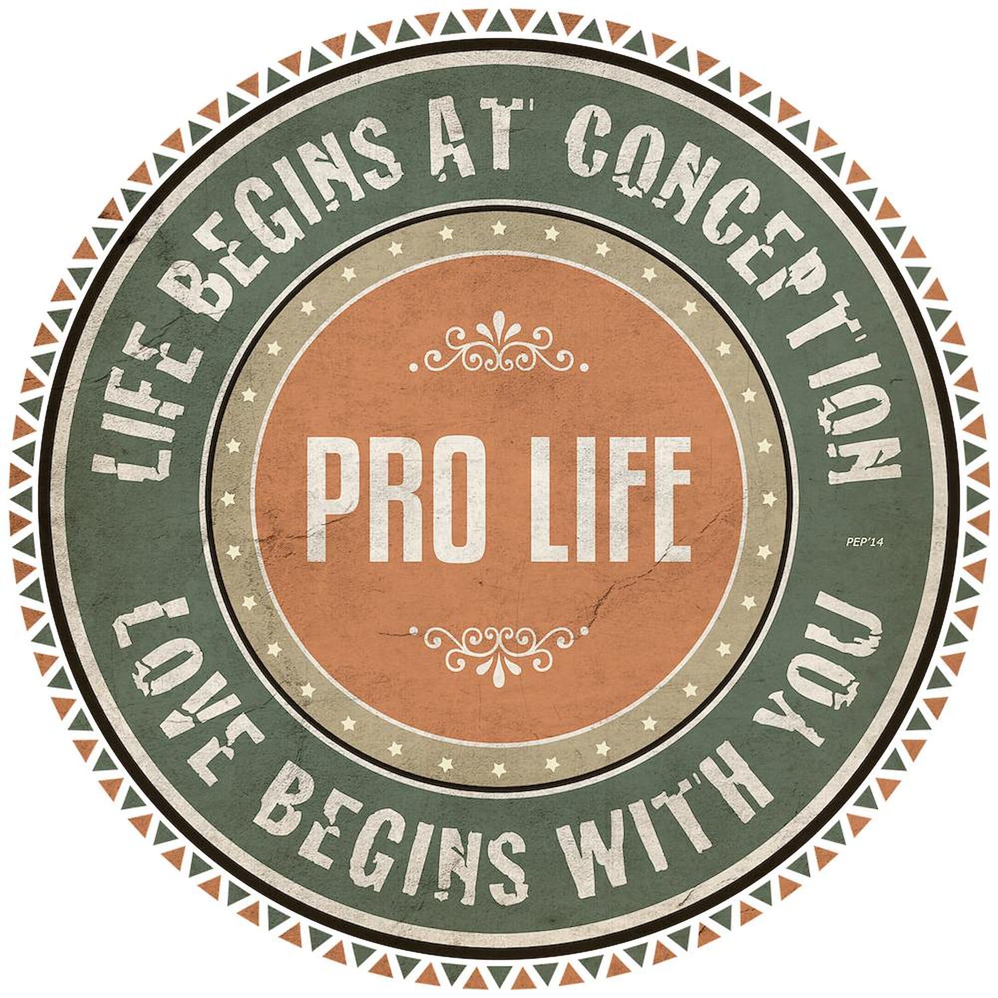 Pro Life Ceramic Coffee Mug 11 oz (325 ml) - Perfect for Tea, Hot Cocoa & Office Use - CafePress