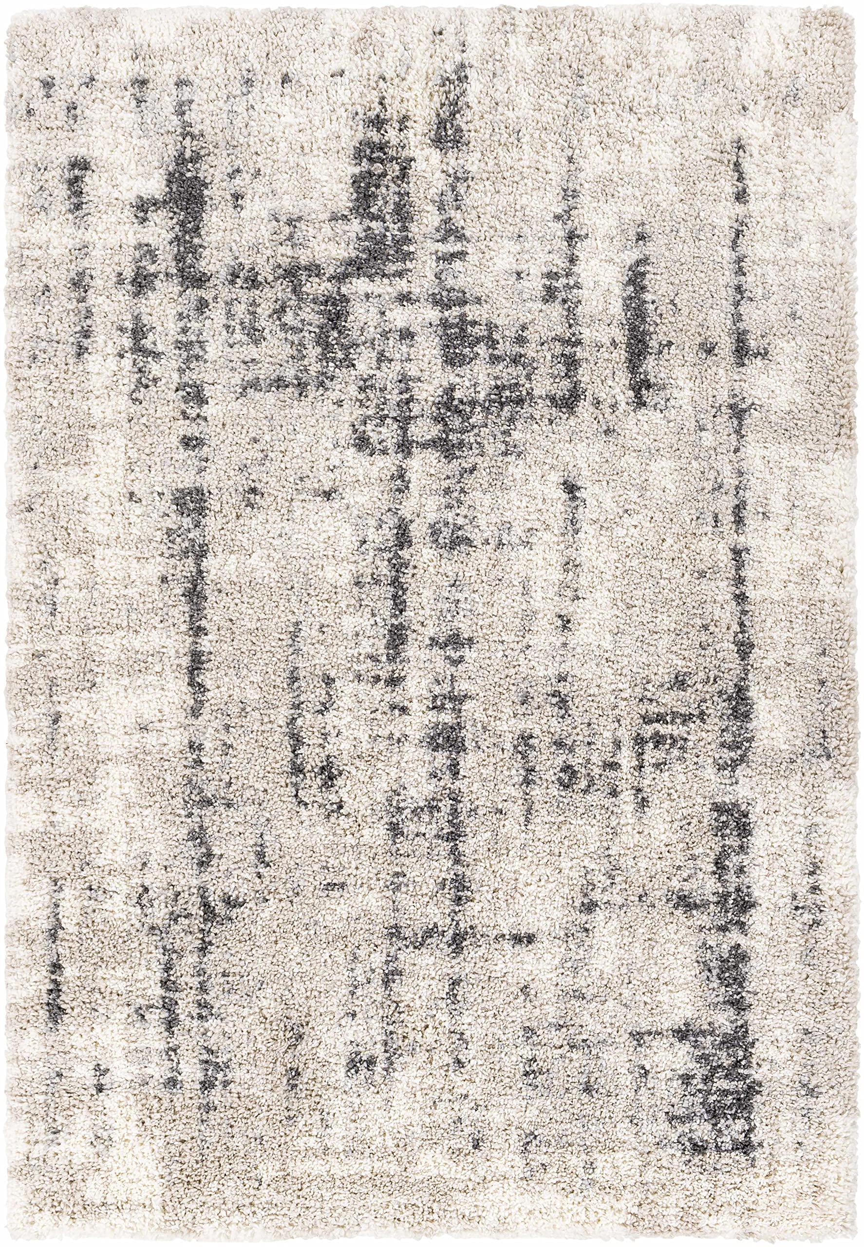 Modern Plush Pile Hauteloom Campion Area Rug for Living Room & Bedroom - Soft Beige & Black - 5'3