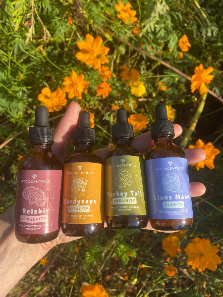 Organic Functional Mushrooms for Immune Support & Wellness - Boost Energy & Focus - Perfect for Smoothies, Coffee & Healthy Recipes