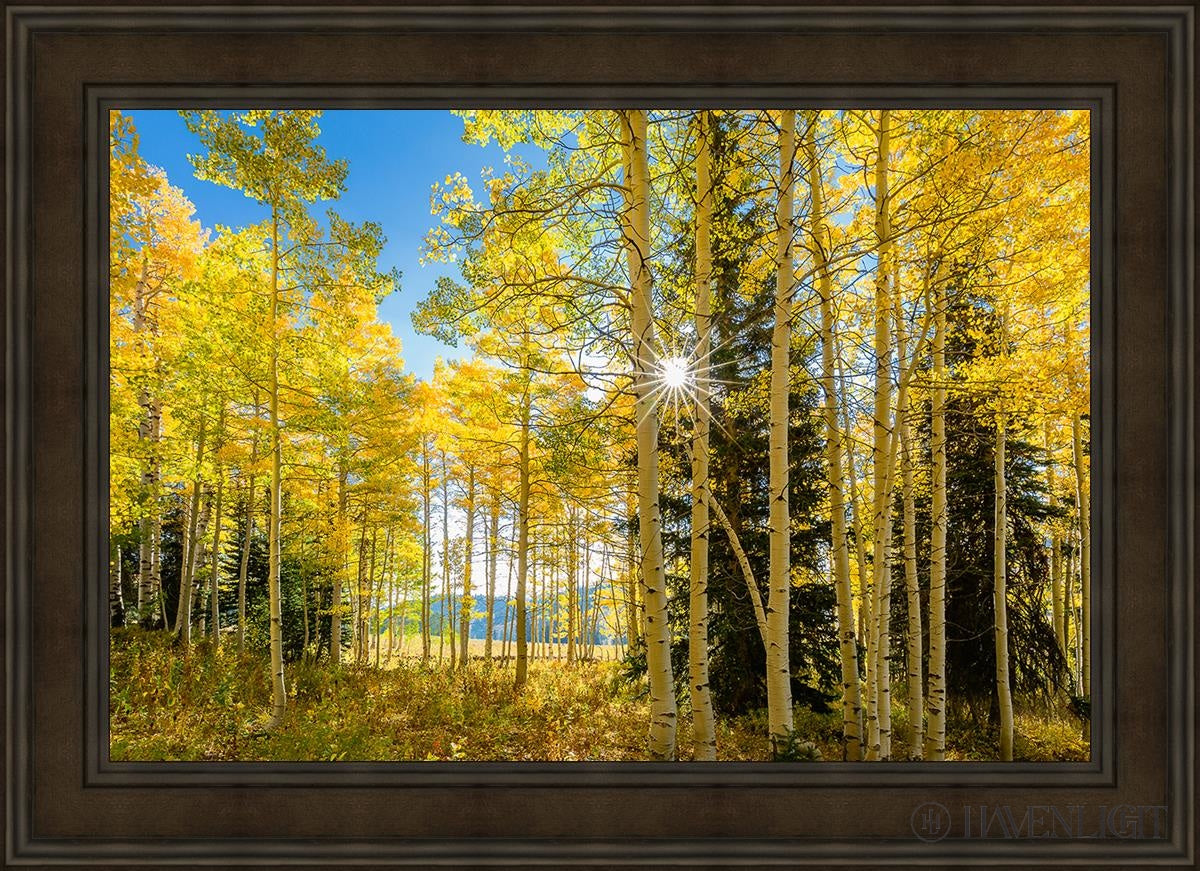 Autumn in the Rocky Mountains - Stunning Fall Foliage at Wasatch National Forest Utah | Perfect for Hiking, Photography & Nature Exploration