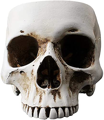 Skull Flower Pot - Resin Skull Shaped Planter for Succulents & Small Plants | Gothic Home & Office Desk Decor | Unique Gift for Halloween & Gothic Lovers
