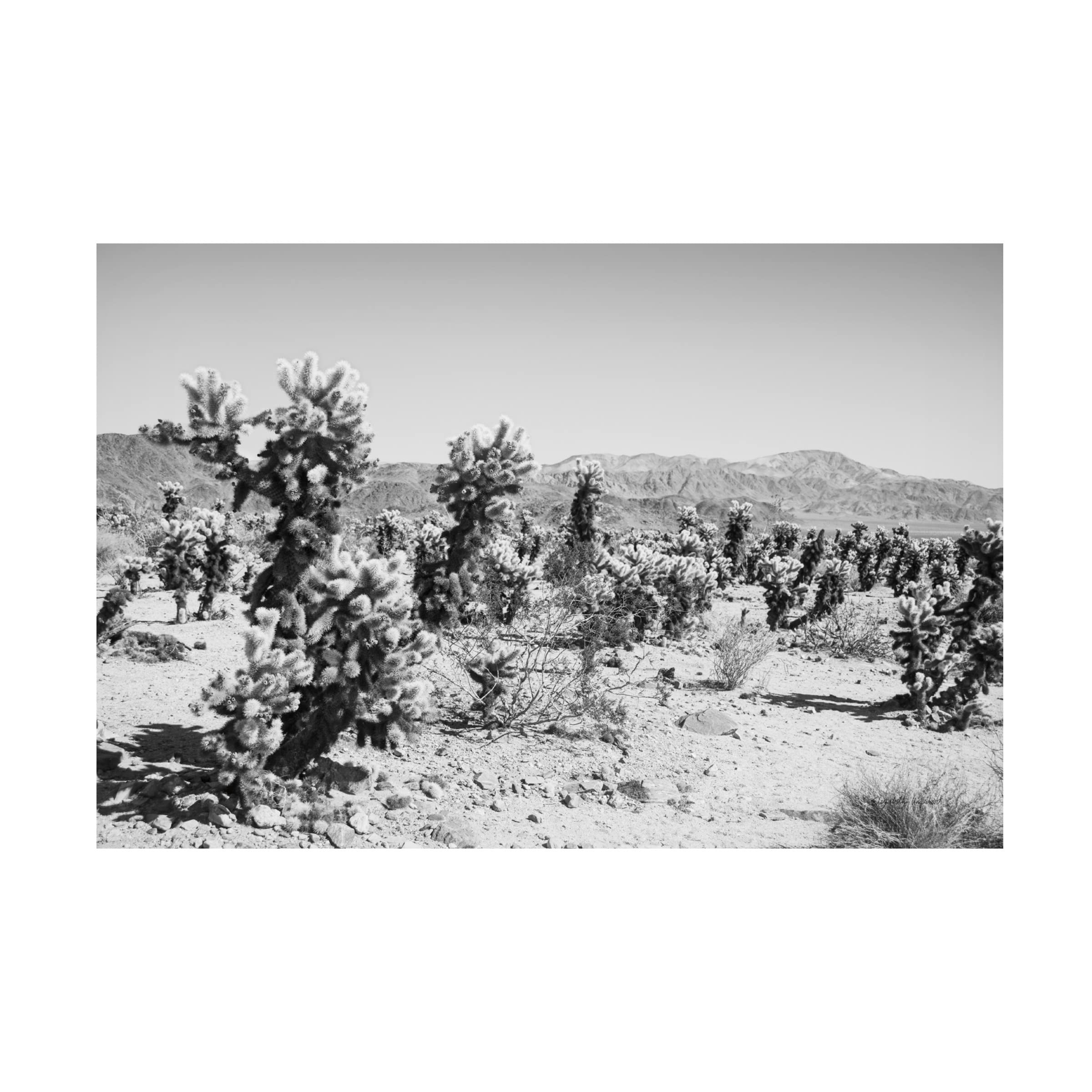 Trademark Fine Art 'Road Trip III' Canvas Print by Elizabeth Urquhart - Vintage Travel Inspired Wall Decor for Living Room, Bedroom & Office