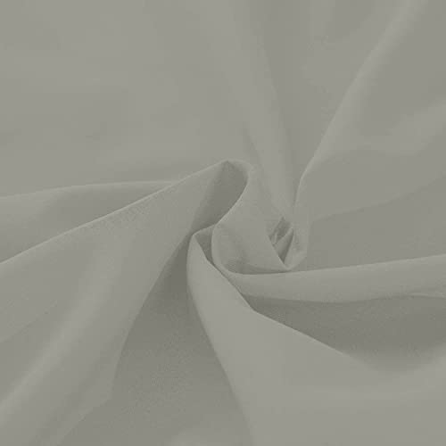 Light Grey Solid