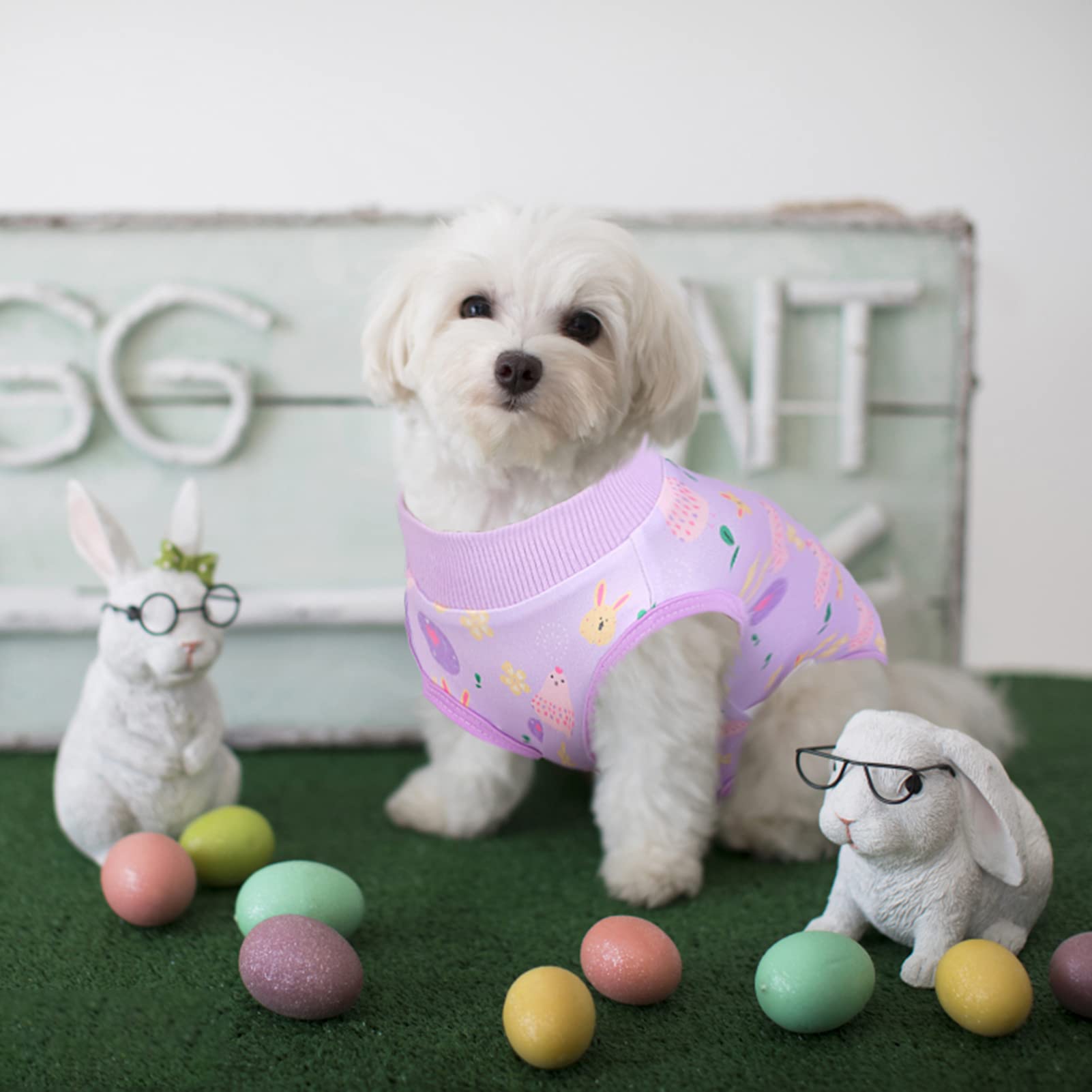 **ASENKU Easter Dog Onesie Pet Pajamas - Post-Surgery Recovery Suit for Dogs & Cats - Soft Bodysuit Costume for Small, Medium, Large Pets (Easter Theme, Size M) - Perfect for Holidays, Recovery & Playtime**