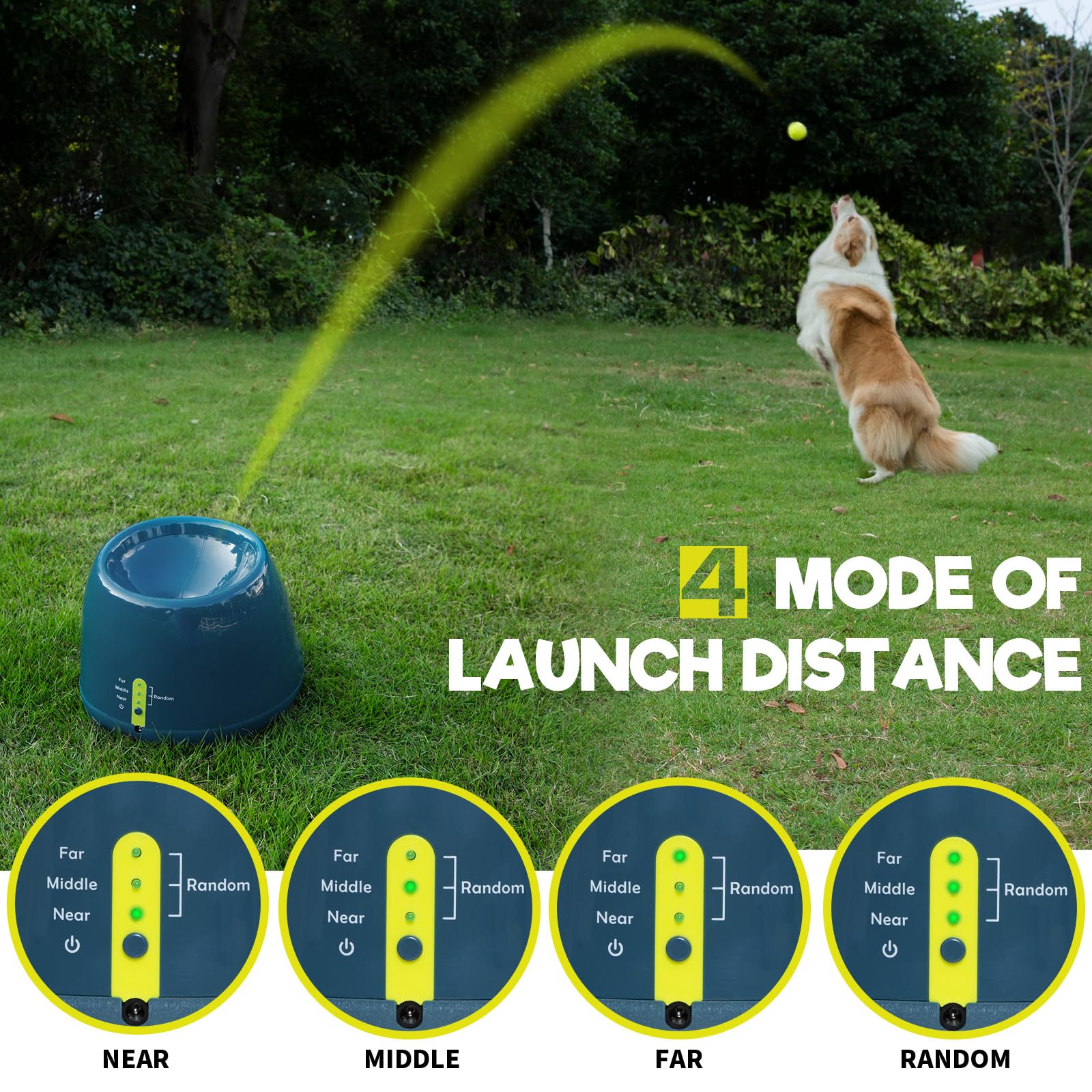 Automatic Dog Ball Launcher with 4 Distance Settings - Includes 2-inch Tennis Balls for Small & Medium Dogs - Perfect for Backyard Play, Park Training & Interactive Exercise (Blue)