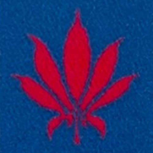 1 Red/Blue Lanyard