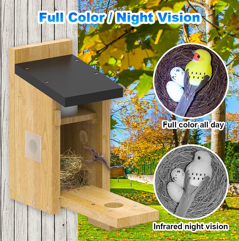 4MP HD WiFi Bird House with Camera - Outdoor Smart Bird Feeder with Real-Time App Notifications, Night Vision & Motion Detection, IP65 Waterproof for Bird Watching & Nature Monitoring