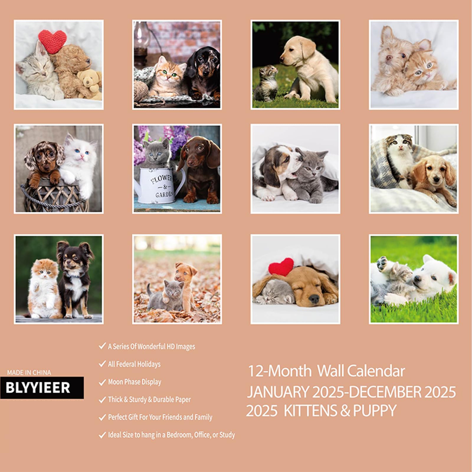 **2025 Wall Calendar with Cute Kittens & Puppies - 12
