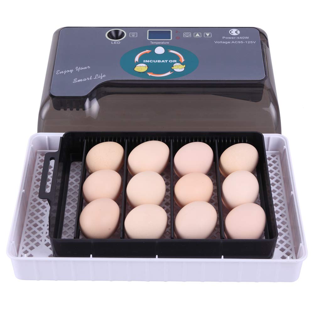12-Egg Adjustable Egg Tray - Fully Automatic Poultry Incubator Set, Durable & Safe for Chicken, Duck, Quail Eggs - Perfect for Home Farming, Hatching Projects & Backyard Poultry Raising