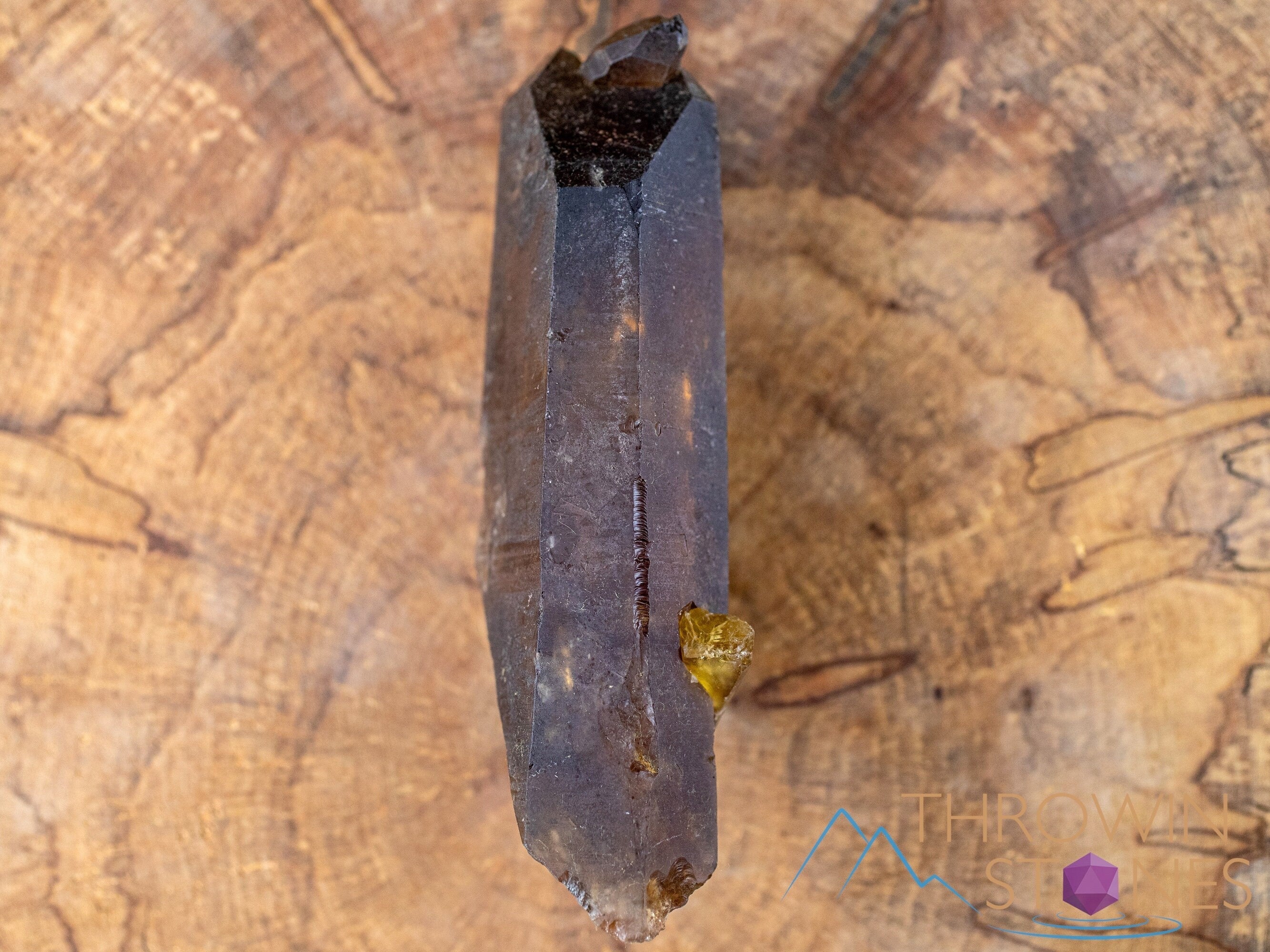 Natural Citrine Raw Crystal Point - Healing Stone, November Birthstone, Home & Office Decor, Spiritual Gifts for Meditation & Energy Work | 41169