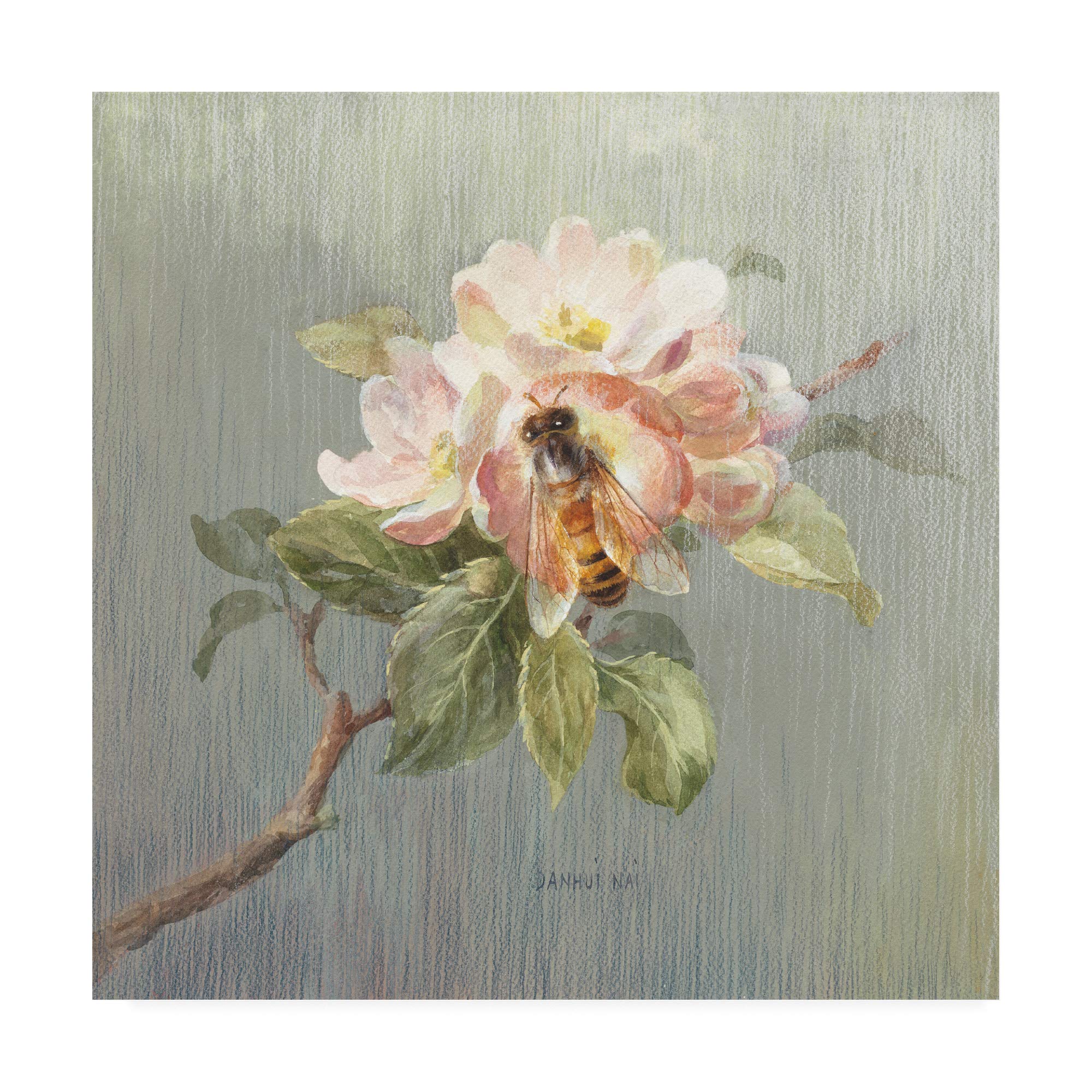 Danhui NAI Natural Detail I Fine Art Print - 18x18 Inch Wall Decor for Living Room, Bedroom & Office | Trademark Collection