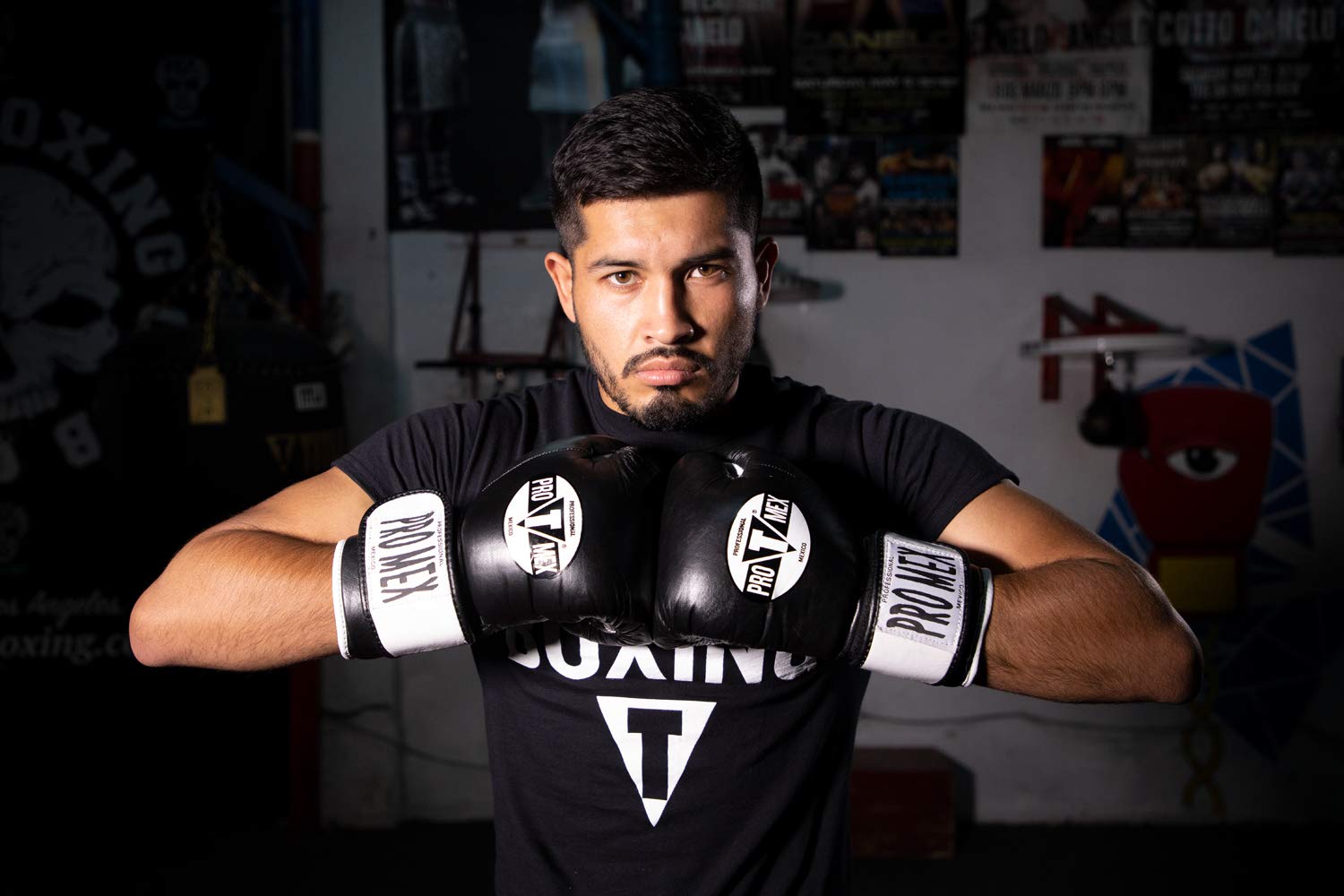 Pro-Mex Professional Boxing Bag Gloves V 3.0 - Premium Training Gloves for Heavy Bag Workouts, Sparring & MMA - Ideal for Boxing Gyms, Home Training & Fitness Enthusiasts