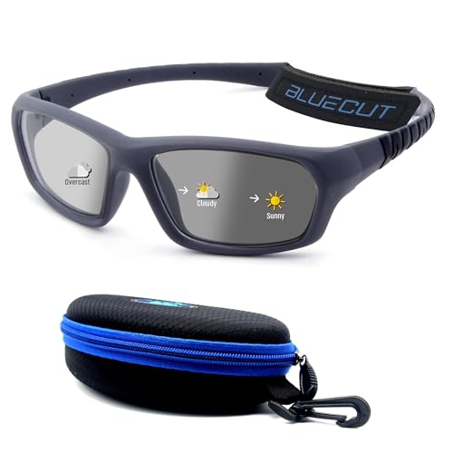 Gray/Photochromic