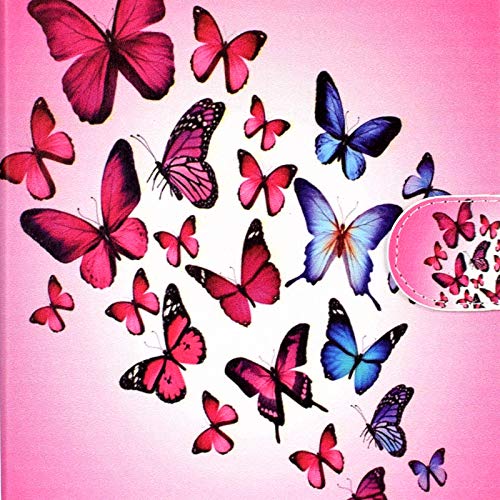 Colorful Butterfly