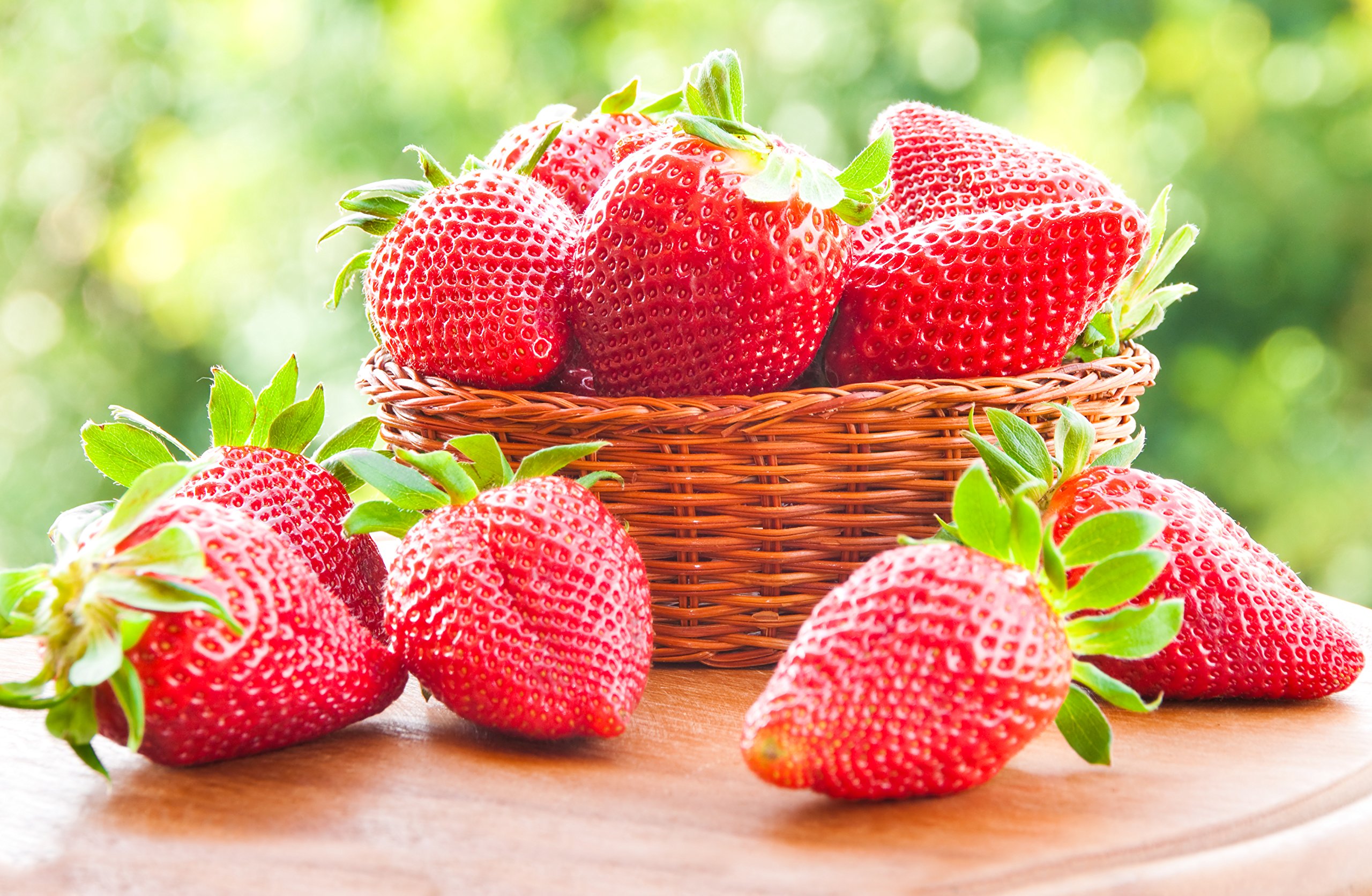 15+ Giant Strawberry Fresca Everbearing Seeds - Sweet Red Fruit Plants for Home Garden, Patio & Container Planting