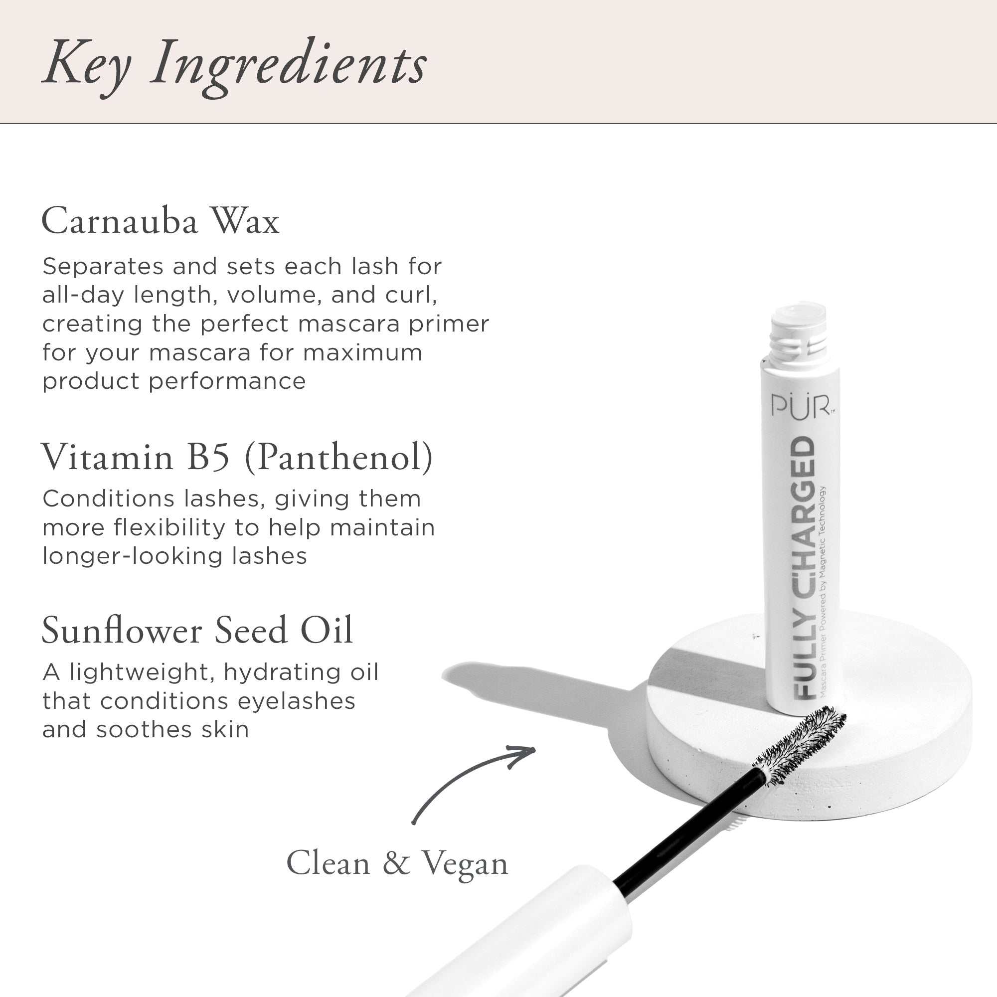 Best Volume Set 2-Piece Mascara & Primer Duo for Long Lashes - Perfect for Day & Night Makeup Looks