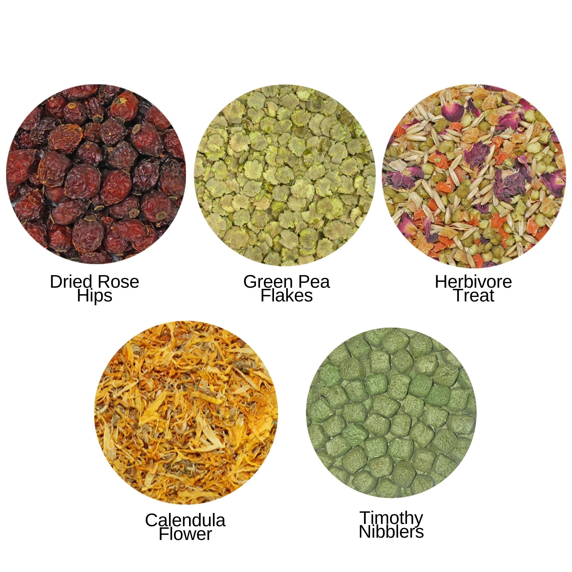 Premium Chinchilla Treat Sampler - Natural, Healthy Snacks for Small Pets - Perfect for Training, Bonding & Rewarding Your Furry Friend at Home or Travel