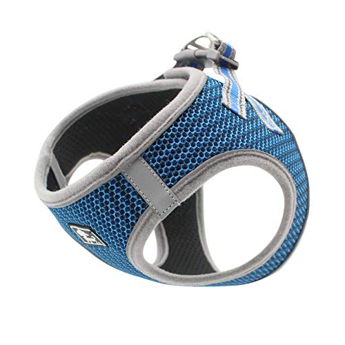 No Pull Small Dog Harness and Leash Set - Soft Mesh Nylon Vest for Small Dogs & Cats | Adjustable Chest Strap for Outdoor Walking, Training & Pet Adventures