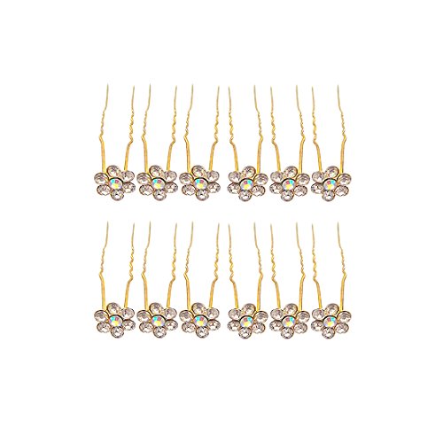 Golden 12pc