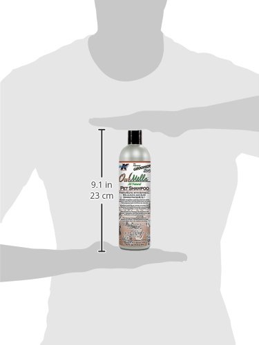 Groomer's Edge Oat-Mella Pet Shampoo for Dogs & Cats - 16 oz Soothing Oatmeal Shampoo for Dry Itchy Skin - Gentle Bath for Allergy Relief & Healthy Coat