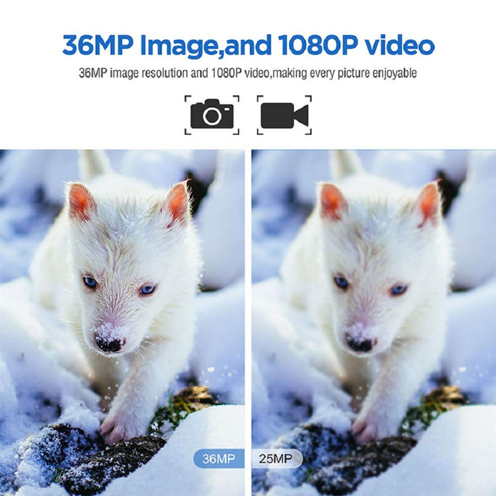 36MP Trail Game Camera with 1080P HD Video & Xenon Flash - Night Vision Hunting Camera for Wildlife Scouting, Motion Detection, Outdoor Security (Perfect for Hunting, Wildlife Monitoring & Home Surveillance)