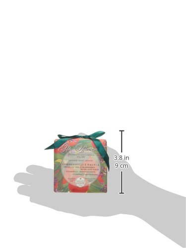 NESTI DANTE Gli Officinali Camellia & Cinnamon Soap 200g - Natural Handmade Italian Soap for Moisturizing Skin & Aromatherapy | Perfect for Spa, Bath & Gift Sets