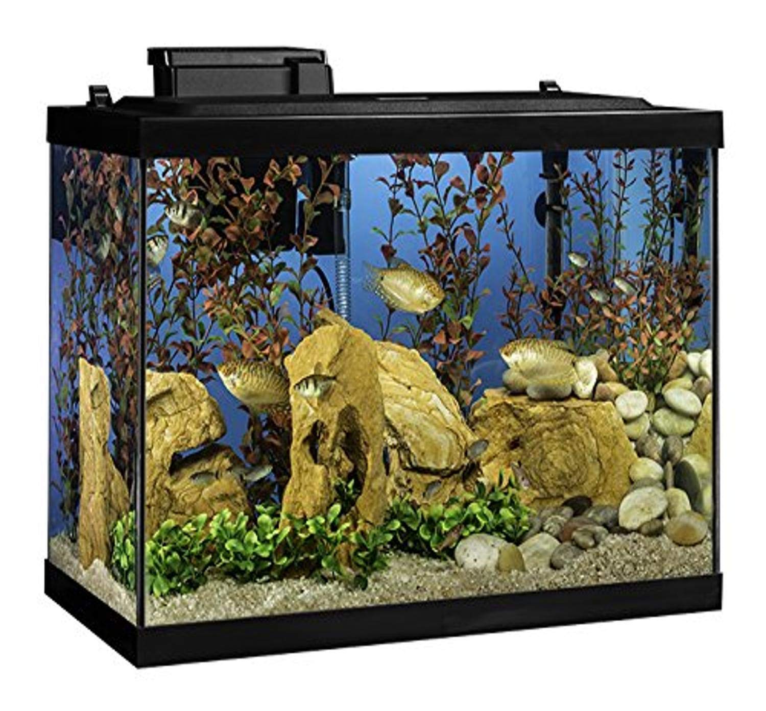 20 Gallon Tetra Aquarium Fish Tank Kit with LED Lighting & Decor - Complete Starter Kit for Freshwater Fish, Plants & Aquatic Pets - Perfect for Home, Office or Classroom Aquarium Setup