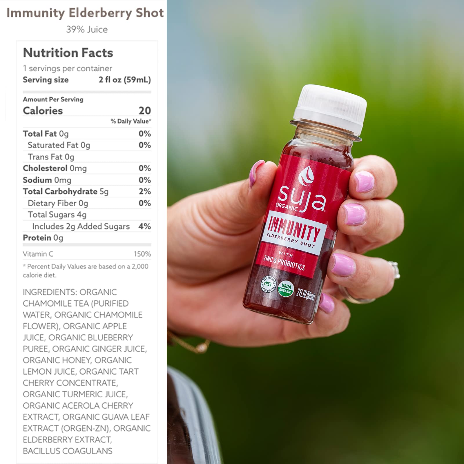 Suja Organic Immunity Elderberry Shot (60 Pack) with Turmeric and Ginger | Immune System Booster | Cold-Pressed Juice with Live Probiotics | Plant-Based, Gluten-Free Functional Shots | Great for Daily Wellness, Travel & Immune Support