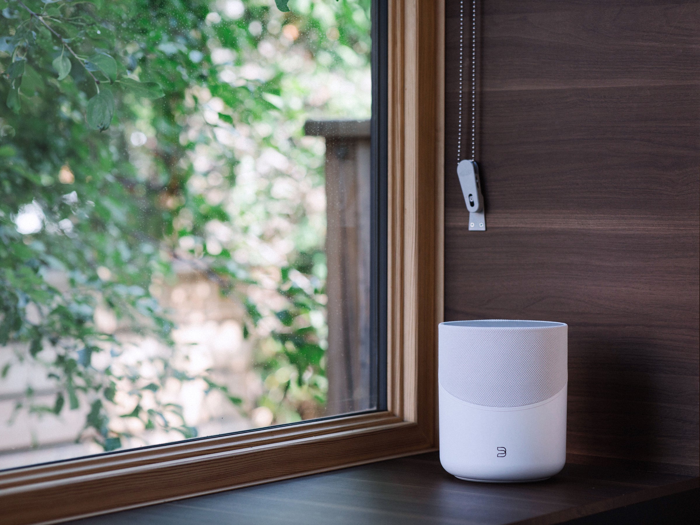 Bluesound Pulse M - High-Fidelity Wireless HiFi Speaker with Multiroom Audio, AirPlay 2 & Alexa Voice Control - Perfect for Home Theater, Music Streaming & Smart Home Integration