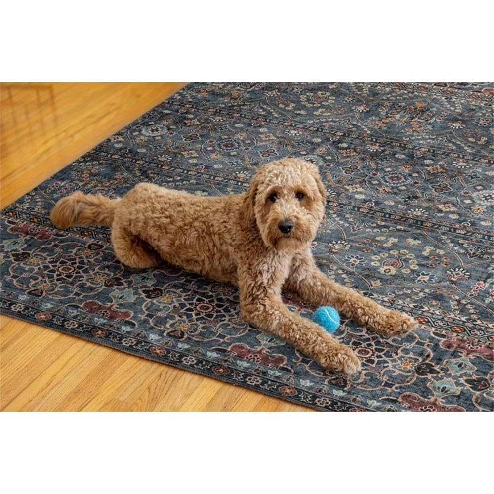 Linon Washable Buford Polyester 5'x7' Area Rug in Teal Blue - Soft Non-Slip Living Room Bedroom Rug for Home Decor