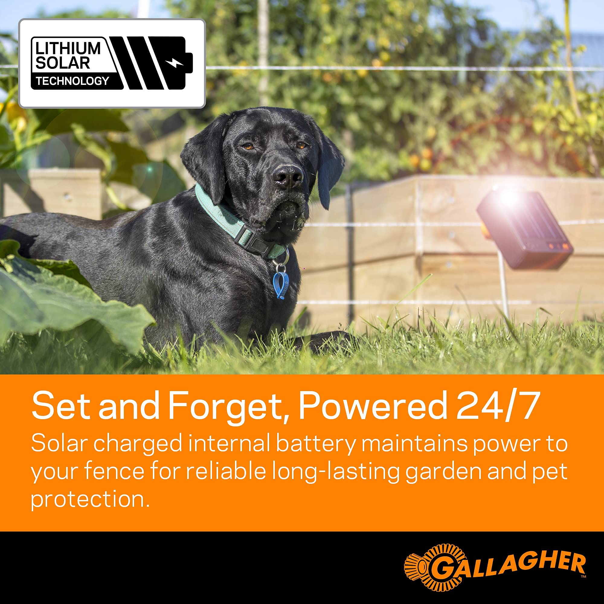 Gallagher S6 Solar Electric Fence Charger - 0.06 Joule Solar-Powered Energizer for Backyard Security & Livestock Protection | Weatherproof & Portable Design with Post Mounting System | Ideal for Farms, Ranches, Pet Containment & Garden Protection