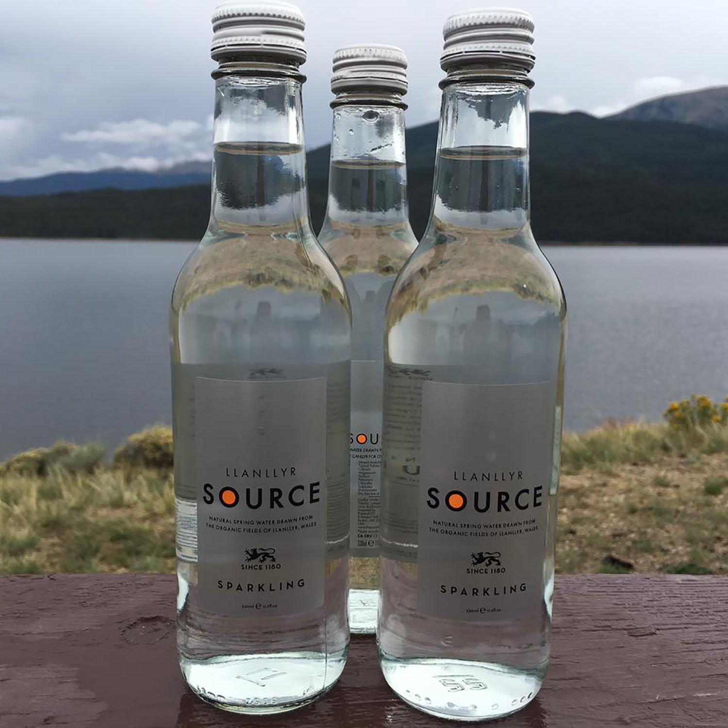 Llanllyr Source Sparkling Natural Spring Water - 12 Glass Bottles (25.4 fl oz each) | Premium Mineral Water for Parties, Weddings & Gourmet Dining | Vegan & Gluten-Free