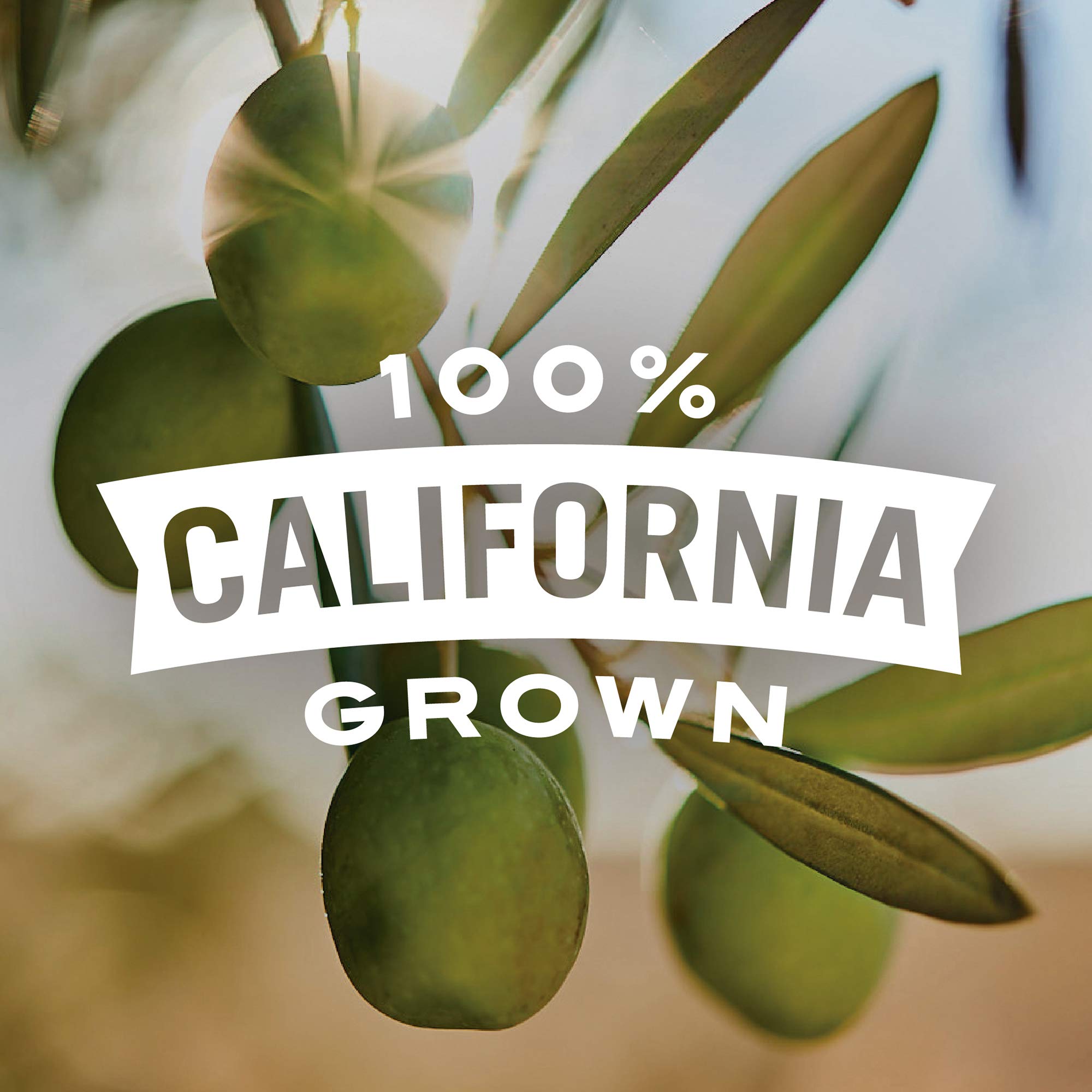 Early California Ripe Pitted Medium Black Olives - 6 Ounce Can | Perfect for Salads, Pizzas & Mediterranean Recipes