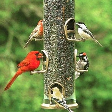 Large Capacity Wild Bird Feeder Tube - Durable Outdoor Bird Feeder for Backyard, Garden & Patio - Attracts Cardinals, Finches & Songbirds