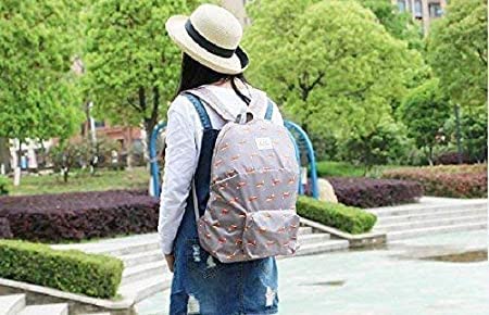 SPIRITUAL HOUSE School Backpack for Women & Girls | Waterproof College Bag | Stylish Fashionable Limited Edition Backpack - Perfect for School, Travel & Daily Use